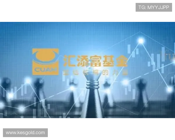 铁杆国际：深耕海外市场多年的经验，成为企业国际化发展的坚强后盾